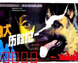 狼犬历险记：生死相依