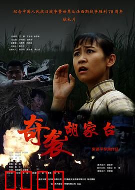 奇袭胡家台：铁血奇兵