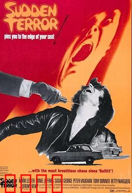 小英雄与大刺客：生死对决