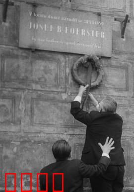 我们的费尔斯特先生去世了：老人的最后旅程