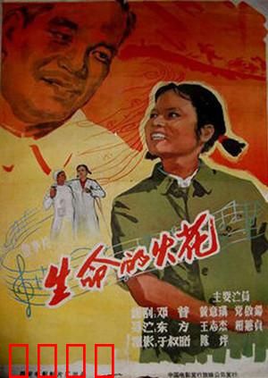 生命的火花：逆境重生