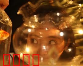 樓上樓下：暗战邻里