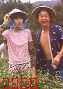 小美我爱你：暗恋十年的告白