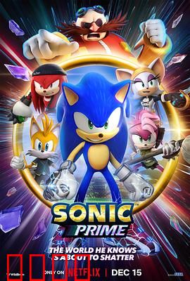 索尼克：蓝色闪电的成长之旅