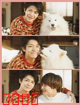 爱你汪汪：忠犬的守护