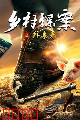 乡村探案之外来者：夜半陌影