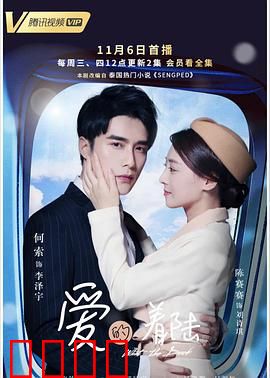 爱的着陆：空中奇缘