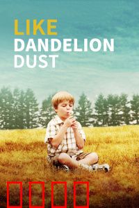 像蒲公英的灰尘：领养与血缘的抉择