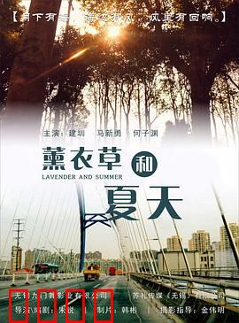 薰衣草和夏天：夏日疗愈之旅
