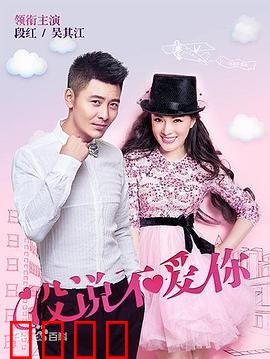 没说不爱你：深情往事