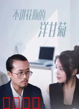 不进花瓶的洋甘菊：野性之美