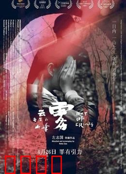 云雾笼罩的山峰：命运交错的一天