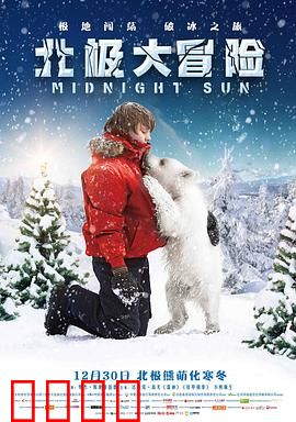 北极大冒险：冰雪求生