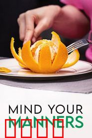 国际礼仪指南：礼仪改变命运