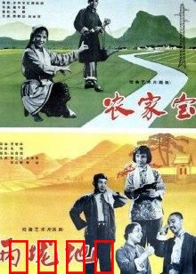 农家宝：勤劳致富的秘诀