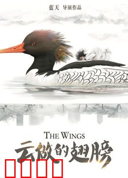 云做的翅膀：梦想飞越天际