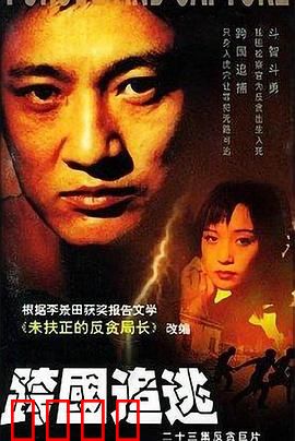 跨国追逃：跨境猎狐