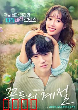 顶斗的季节：穿越四季的爱恋