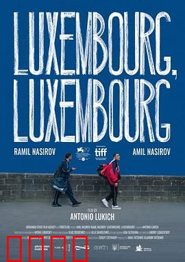 交错卢森堡：时空谜局