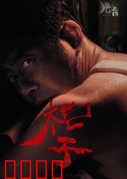 光合计划：颠覆未来的能源骗局