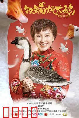 我来自北京之铁锅炖大鹅：东北美食逆袭记