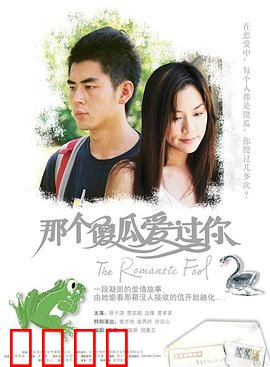 那个傻瓜爱过你国语：痴心守护的爱情