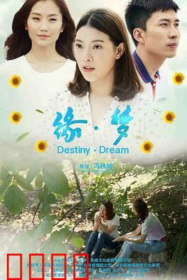 缘·梦：梦缘情未了