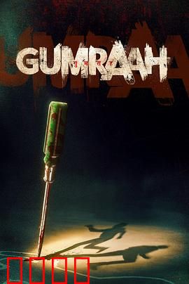 双面线索：镜中谜影