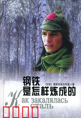 钢铁是怎样炼成的：革命者的锻造