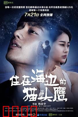 住在海边的猫头鹰：孤独与温暖