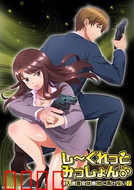 Secret Mission～潜入捜査官绝对不会输！～：卧底反转之战
