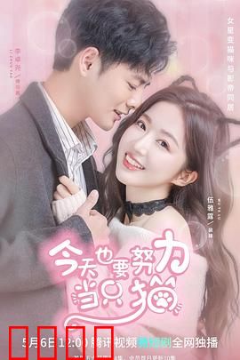 今天也要努力当只猫：猫咪穿越成人生赢家