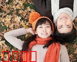 合居情缘：宿命般相遇