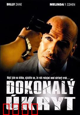 完美隐藏：通缉犯的隐形人生