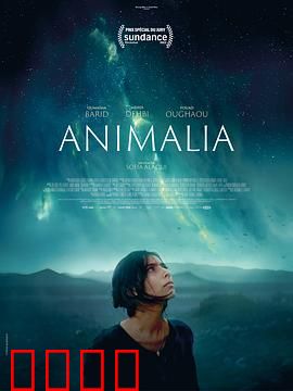 动物界：当人类变成兽