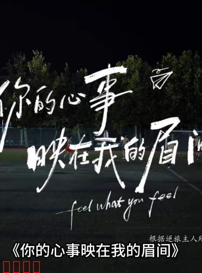 你的心事映在我的眉间：心灵的触碰