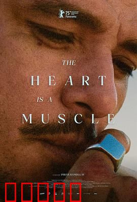 心如肌理：触摸灵魂的温度