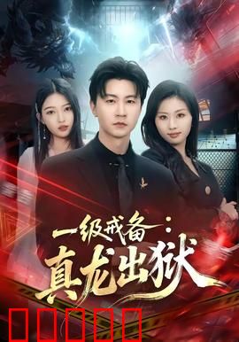 一级戒备：总统暗杀危机