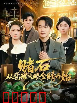 赌石从觉醒火眼金睛开始：一眼定乾坤